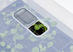 Anzucht-Gewächshaus Easy Water | Zimmergewächshaus Von Clever Pots -Compo Verkäufe 553911 Gewaechshaus Easy Water 050 0017 4