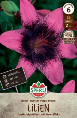 Lilie Purple Dream (2 Stück) | Lilienzwiebeln Von Sperli