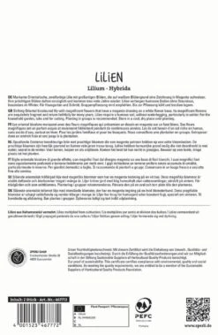 Lilie Hachi (2 Stück) | Lilienzwiebeln Von Sperli