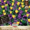 Festival Of Dreams (18 Stück) | Blumenzwiebelmischungen Von Sperli -Compo Verkäufe 554103 Festival of Dreams 18 Stueck 462357 0