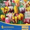 Mega-Pack Rembrandt-Tulpen Mischung (14 Stück) | Tulpenzwiebeln Von Kiepenkerl -Compo Verkäufe 554115 Mega Pack Rembrandt Tulpen Mischung 14 Stueck 507197 0