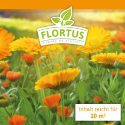 Ringelblumen Mischung | Blumenwiese Von FLORTUS -Compo Verkäufe 554533 Ringelblumen Mischung 2000 0727 100g 1