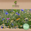 Wilde Apotheke (10 Stück) | Wildblumenwiese Von Biobalu 2 Wilde Apotheke (10 Stück) | Wildblumenwiese Von Biobalu -Compo Verkäufe 554551 Wilde Apotheke 10 Stueck BB1026 3