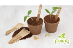 Holzstecketiketten Mit Lasergravur (10 Stück) | Pflanzenetiketten Von FLORTUS -Compo Verkäufe 554995 Holzstecketiketten mit Lasergravur 10 Stueck 2000 0780 5