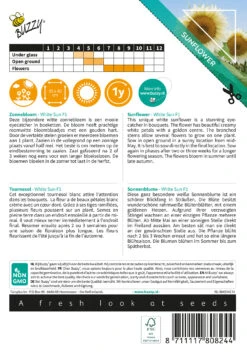 Sonnenblume White Sun F1 | Sonnenblumensamen Von Buzzy Seeds