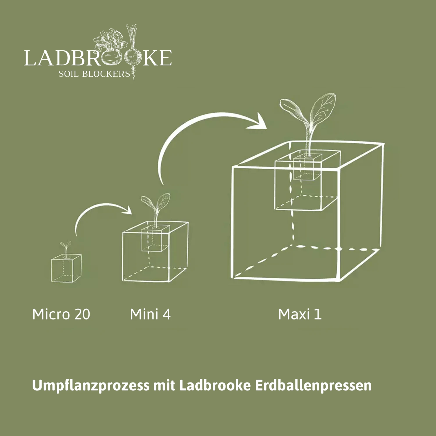 Erdballenpressen Maxi Set | Erdtopfpressen Von Ladbrooke Soil Blockers 7 Erdballenpressen Maxi Set | Erdtopfpressen Von Ladbrooke Soil Blockers – Bild 5