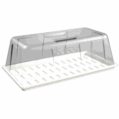 Secret Jardin Plastic Tray, 53 X 26 X 2 Cm