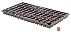 Eazy Plug Anzuchtwürfel CT104, Rund, 3,5 X 2 Cm, Tray Mit 104 St. | Anzuchttray -Compo Verkäufe 557342 Eazy Plug Anzuchtwuerfel CT104 rund 3 5 x 2 cm Tray mit 104 St 534573 Eazy Plug Stecklingstrays 104 St rund klein 2