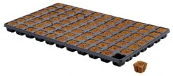 Eazy Plug Anzuchtwürfel CT77, 3,5 X 3,5 Cm, Tray Mit 77 Stk. | Anzuchttray -Compo Verkäufe 557344 Eazy Plug Anzuchtwuerfel CT77 3 5 x 3 5 cm Tray mit 77 Stk 533627 Eazy Plug Anzuchtwuerfel 3 5x3 5 cm Tray mit 77 St