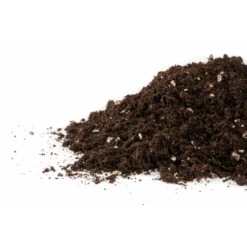 Plagron Lightmix, 50 L | Erdsubstrat -Compo Verkäufe 558174 Plagron Lightmix 50 l Erdsubstrat 533489 Plagron Light mix enthaelt Perlite 50 l 1