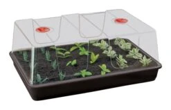 58 X 40,5 X 22,5 Cm Zimmergewächshaus High Dome XL Schwarz Mit Verstellbarer Luftzirkulation | Anzuchtzubehör Von Garland -Compo Verkäufe 558793 58 x 40 5 x 22 5 cm Zimmergewaechshaus High Dome XL schwarz mit verstellbarer Luftzirkulation G155B gl 0