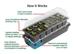 24 Töpfe Selbstbewässerungs -Anzuchtset | Anzuchtschalen Von Garland -Compo Verkäufe 558797 24 Toepfe Selbstbewaesserungs Anzuchtset G165 gl 3
