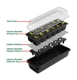 24 Töpfe Selbstbewässerungs -Anzuchtset | Anzuchtschalen Von Garland -Compo Verkäufe 558797 24 Toepfe Selbstbewaesserungs Anzuchtset G165 gl 4