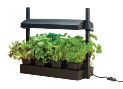 Micro Grow Light Garten | Zimmergewächshaus Von Garland -Compo Verkäufe 558806 50 x 20 x 45 cm Micro Grow Light Garten Schwarz G187BEU gl 0