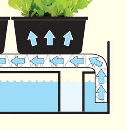 Micro Grow Light Garten | Zimmergewächshaus Von Garland