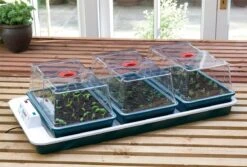 80,5 X 41 X 20 Cm Elektrisches Zimmergewächshaus Big 3 (3 Stück) | Zimmergewächshaus Von Garland -Compo Verkäufe 558839 80 5 x 41 x 20 cm Elektrisches Zimmergewaechshaus Big 3 3 Stueck mit EU Stecker G78EU gl 2