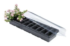 53,5 X 15,5 X13 Cm Zimmergewächshaus | Zimmergewächshaus Von Garland