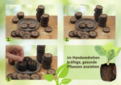 36 Mm Torf Quelltabletten | Torf Quelltabletten Von FLORTUS 13 36 Mm Torf Quelltabletten | Torf Quelltabletten Von FLORTUS -Compo Verkäufe 558921 36 mm Torf Quelltabletten 2000 0977 36x 2