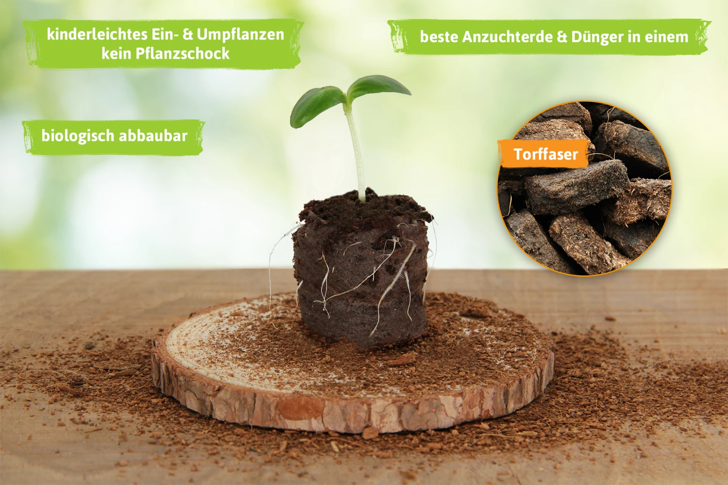 36 Mm Torf Quelltabletten | Torf Quelltabletten Von FLORTUS 10 36 Mm Torf Quelltabletten | Torf Quelltabletten Von FLORTUS – Bild 8