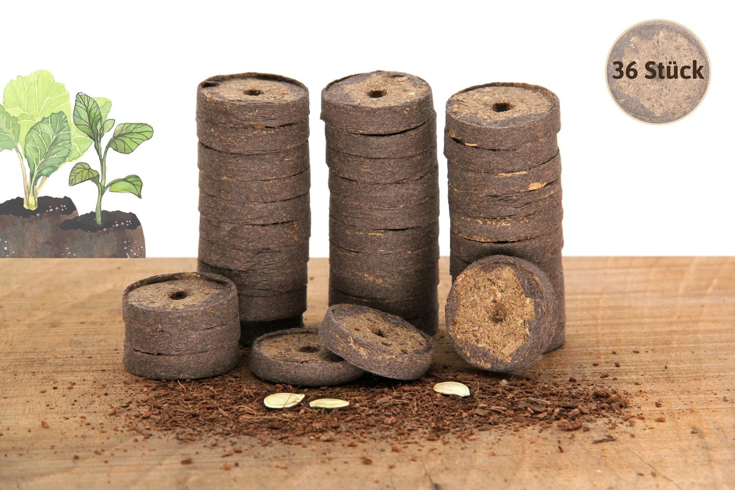 36 Mm Torf Quelltabletten | Torf Quelltabletten Von FLORTUS 4 36 Mm Torf Quelltabletten | Torf Quelltabletten Von FLORTUS – Bild 2