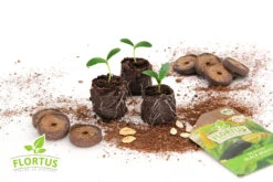 36 Mm Torf Quelltabletten | Torf Quelltabletten Von FLORTUS 15 36 Mm Torf Quelltabletten | Torf Quelltabletten Von FLORTUS -Compo Verkäufe 558921 36 mm Torf Quelltabletten 2000 0977 36x 6