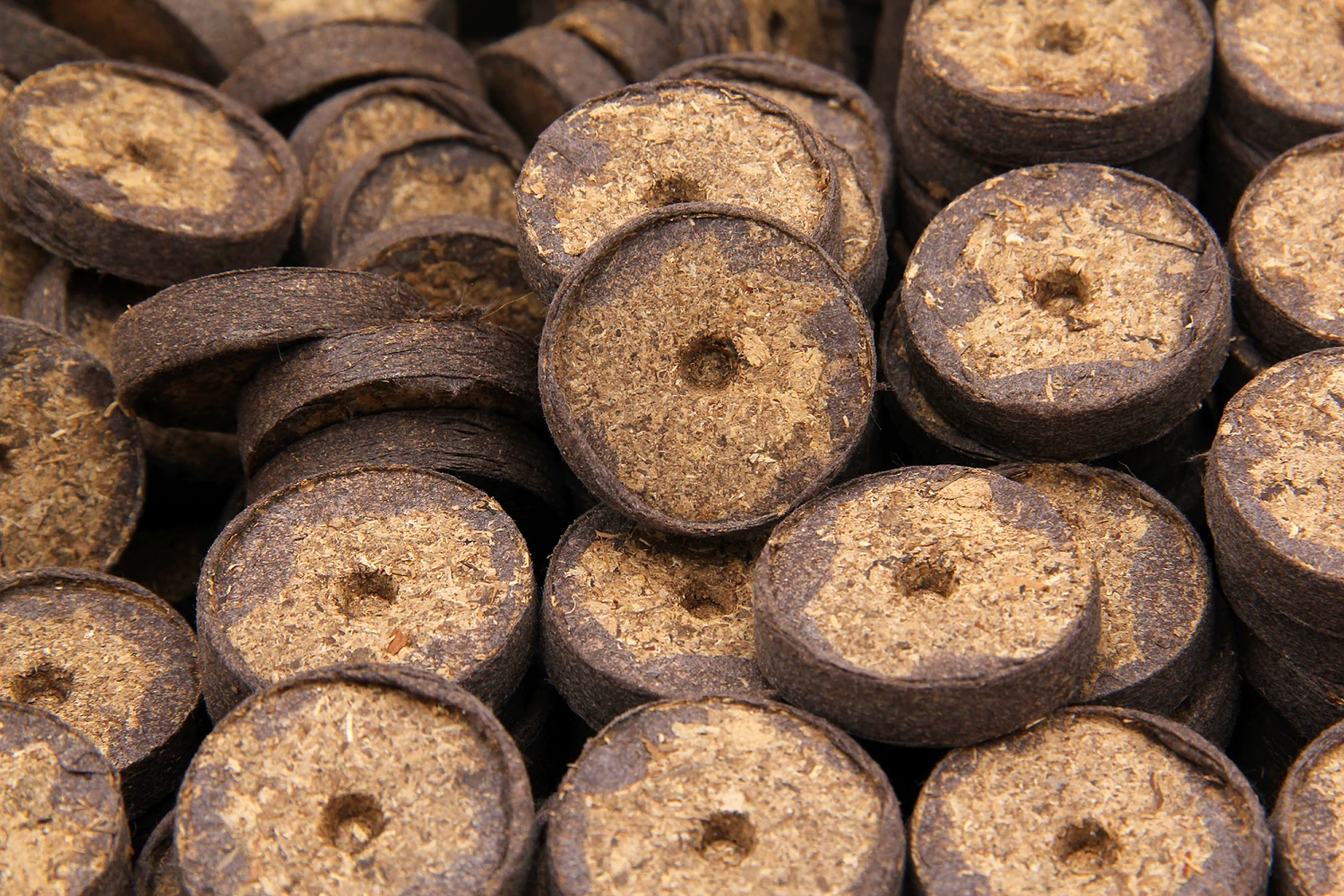 36 Mm Torf Quelltabletten | Torf Quelltabletten Von FLORTUS 9 36 Mm Torf Quelltabletten | Torf Quelltabletten Von FLORTUS – Bild 7