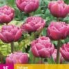 Tulpe Double Lilac (15 Stück) | Tulpenzwiebeln Von Jub Holland -Compo Verkäufe 559946 Tulpe Double Lilac 15 Stueck 322394 jb 0