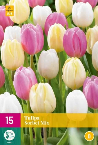 Tulpe Sorbet Mix (15 Stück) | Tulpenzwiebeln Von Jub Holland 3 Tulpe Sorbet Mix (15 Stück) | Tulpenzwiebeln Von Jub Holland