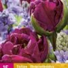 Tulpe / Hasenglöckchen Dazzling Purple (15 Stück) | Blumenzwiebelmischungen Von Jub Holland -Compo Verkäufe 559980 Tulpe Hasengloeckchen Dazzling Purple 15 Stueck 322777 jb 0