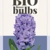 Hyazinthe Delft Blue (3 Stück) | BIO Hyazinthenzwiebeln Von Jub Holland -Compo Verkäufe 560032 BIO Hyazinthe Delft Blue 3 Stueck 325030 jb 0
