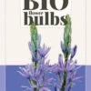Blaue Prärielilie Caerulea (2 Stück) | BIO Prärielilien Von Jub Holland -Compo Verkäufe 560048 BIO Blaue Praerielilie Caerulea 2 Stueck 325570 jb 0