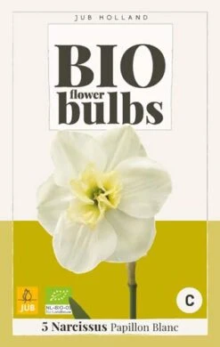 Narzisse Papillon Blanc (5 Stück) | BIO Narzissenzwiebeln Von Jub Holland