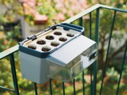 HARRY HERBS Kräutertopf Hellgrau | Kräutertöpfe Von Gusta Garden -Compo Verkäufe 560334 HARRY HERBS hellgrau 100B10 gg 1