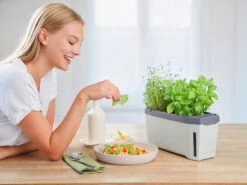 HARRY HERBS Hellgrau Ohne Haube | Kräutertöpfe Von Gusta Garden