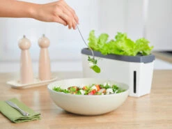 HARRY HERBS Kräutertopf Weiß | Kräutertöpfe Von Gusta Garden