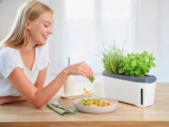 HARRY HERBS Weiß Ohne Haube | Kräutertöpfe Von Gusta Garden -Compo Verkäufe 560337 HARRY HERBS weiss ohne Haube 102B20 gg 8