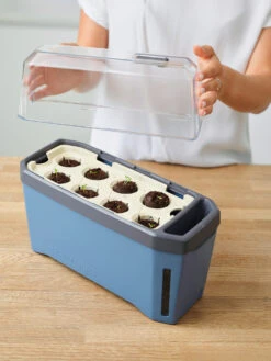 HARRY HERBS Kräutertopf Blau | Kräutertöpfe Von Gusta Garden -Compo Verkäufe 560340 HARRY HERBS blau 104B10 gg 1