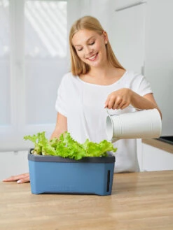 HARRY HERBS Kräutertopf Blau | Kräutertöpfe Von Gusta Garden -Compo Verkäufe 560340 HARRY HERBS blau 104B10 gg 2