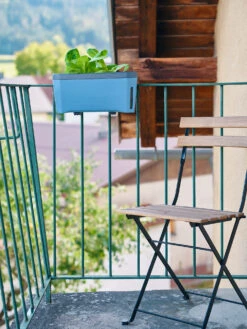 HARRY HERBS Kräutertopf Blau | Kräutertöpfe Von Gusta Garden -Compo Verkäufe 560340 HARRY HERBS blau 104B10 gg 7