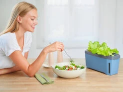 HARRY HERBS Kräutertopf Blau | Kräutertöpfe Von Gusta Garden -Compo Verkäufe 560340 HARRY HERBS blau 104B10 gg 8