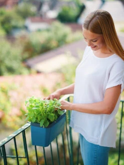 HARRY HERBS Blau Ohne Haube | Kräutertöpfe Von Gusta Garden 19 HARRY HERBS Blau Ohne Haube | Kräutertöpfe Von Gusta Garden -Compo Verkäufe 560341 HARRY HERBS blau ohne Haube 104B20 gg 4