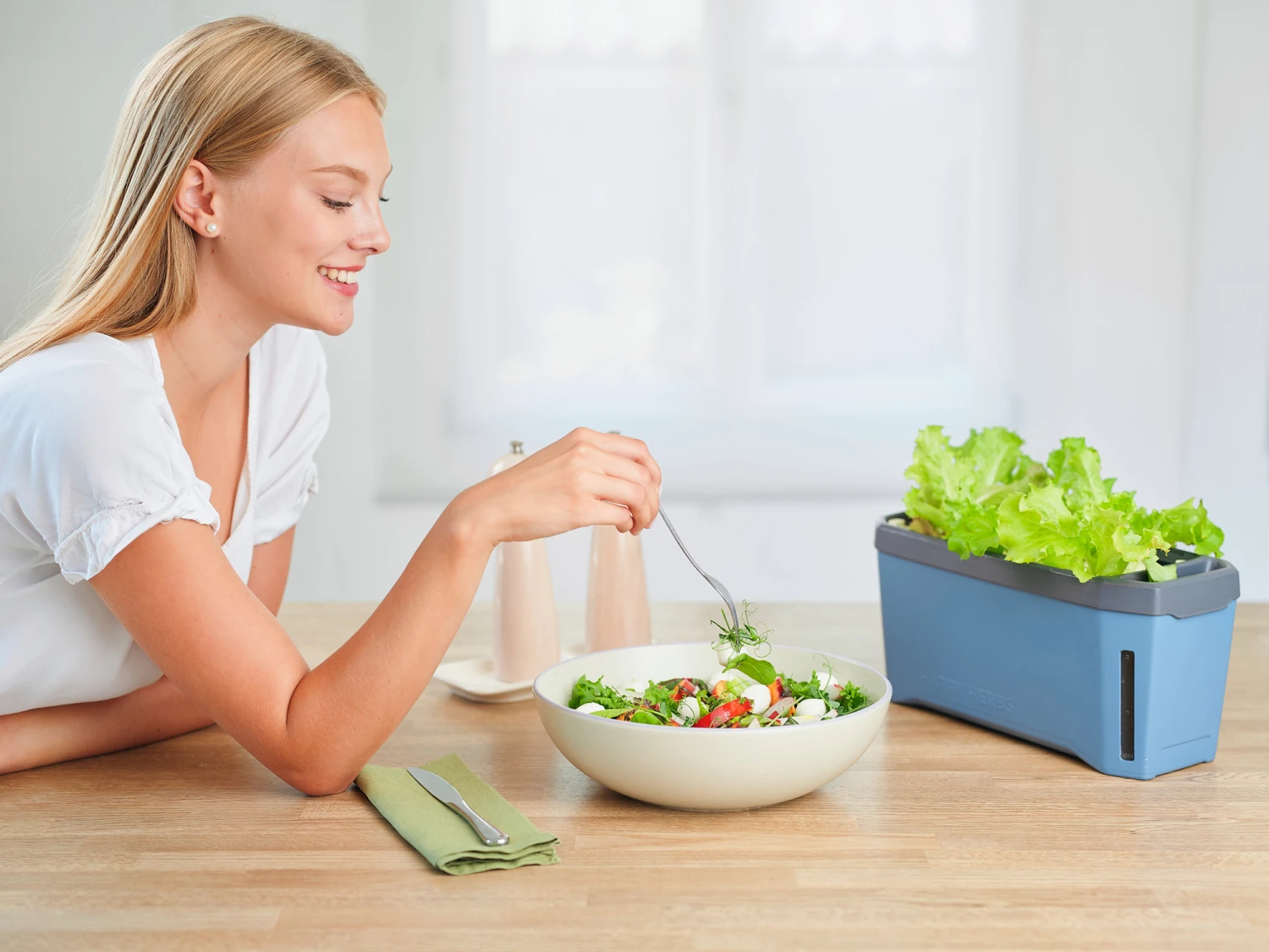 HARRY HERBS Blau Ohne Haube | Kräutertöpfe Von Gusta Garden 10 HARRY HERBS Blau Ohne Haube | Kräutertöpfe Von Gusta Garden – Bild 8