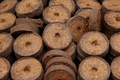 36 Mm Kokos Quelltabletten | Kokos Quelltabletten Von FLORTUS -Compo Verkäufe 560730 36 mm Kokos Quelltabletten 558922 36 mm Kokos Quelltabletten 2000 1013 36x 7