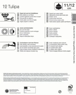 Compo Verkäufe -Compo Verkäufe 562135 Gefuellte Fruehe Tulpen Foxtrot Mischung 12 Stueck 507722 1