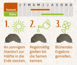 Samenbomben Das Bienenstaatsbankett (6 Stück) | Bienenwiese Von FLORTUS -Compo Verkäufe 562161 Samenbomben Das Bienenstaatsbankett 6 Stueck 2000 2356 4