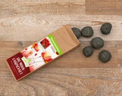 Samenbomben Die Mohnlandschaft (6 Stück) | Mohnsamen Von FLORTUS -Compo Verkäufe 562163 Samenbomben Die Mohnlandschaft 6 Stueck 2000 1054 3