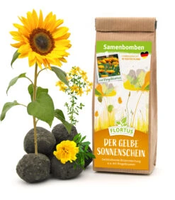 Samenbomben Der Gelbe Sonnenschein (6 Stück) | Blumensamenmischung Von FLORTUS -Compo Verkäufe 562164 Samenbomben Der Gelbe Sonnenschein 6 Stueck 2000 1055 1
