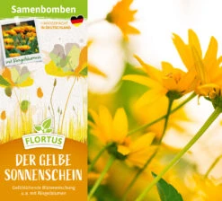 Samenbomben Der Gelbe Sonnenschein (6 Stück) | Blumensamenmischung Von FLORTUS -Compo Verkäufe 562164 Samenbomben Der Gelbe Sonnenschein 6 Stueck 2000 1055 2