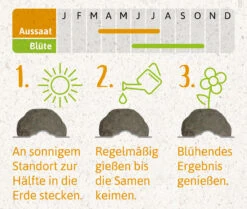 Samenbomben Der Gelbe Sonnenschein (6 Stück) | Blumensamenmischung Von FLORTUS -Compo Verkäufe 562164 Samenbomben Der Gelbe Sonnenschein 6 Stueck 2000 1055 4