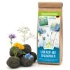 Samenbomben Urlaub Auf Balkonien (6 Stück) | Blumensamenmischung Von FLORTUS